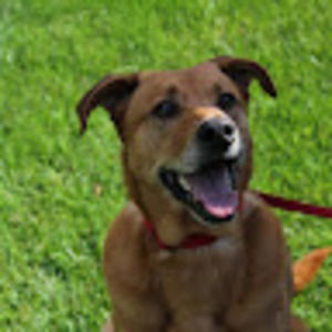 Meet your Posher, Sean